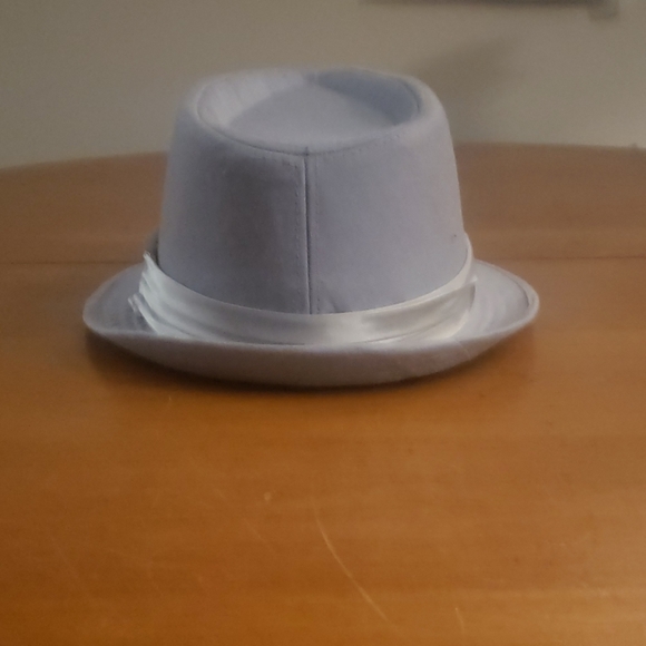 Silver Fedora - Picture 3 of 4